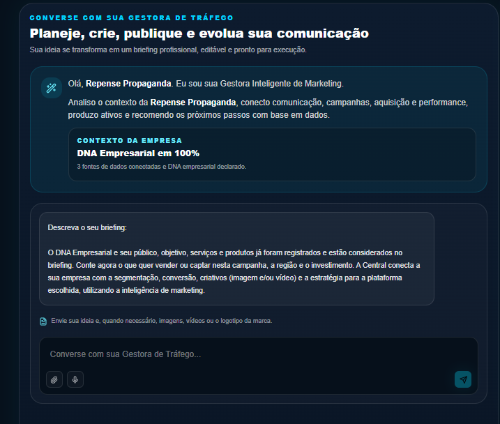 Conversa com a Gestora de Tráfego: briefing direto por texto